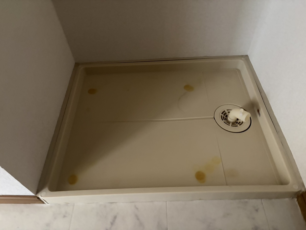 洗面所 写真10
