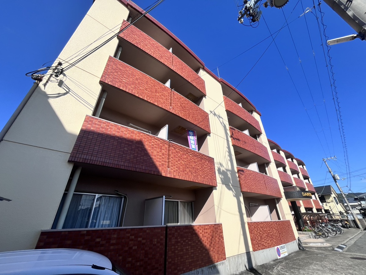 セントポーリア