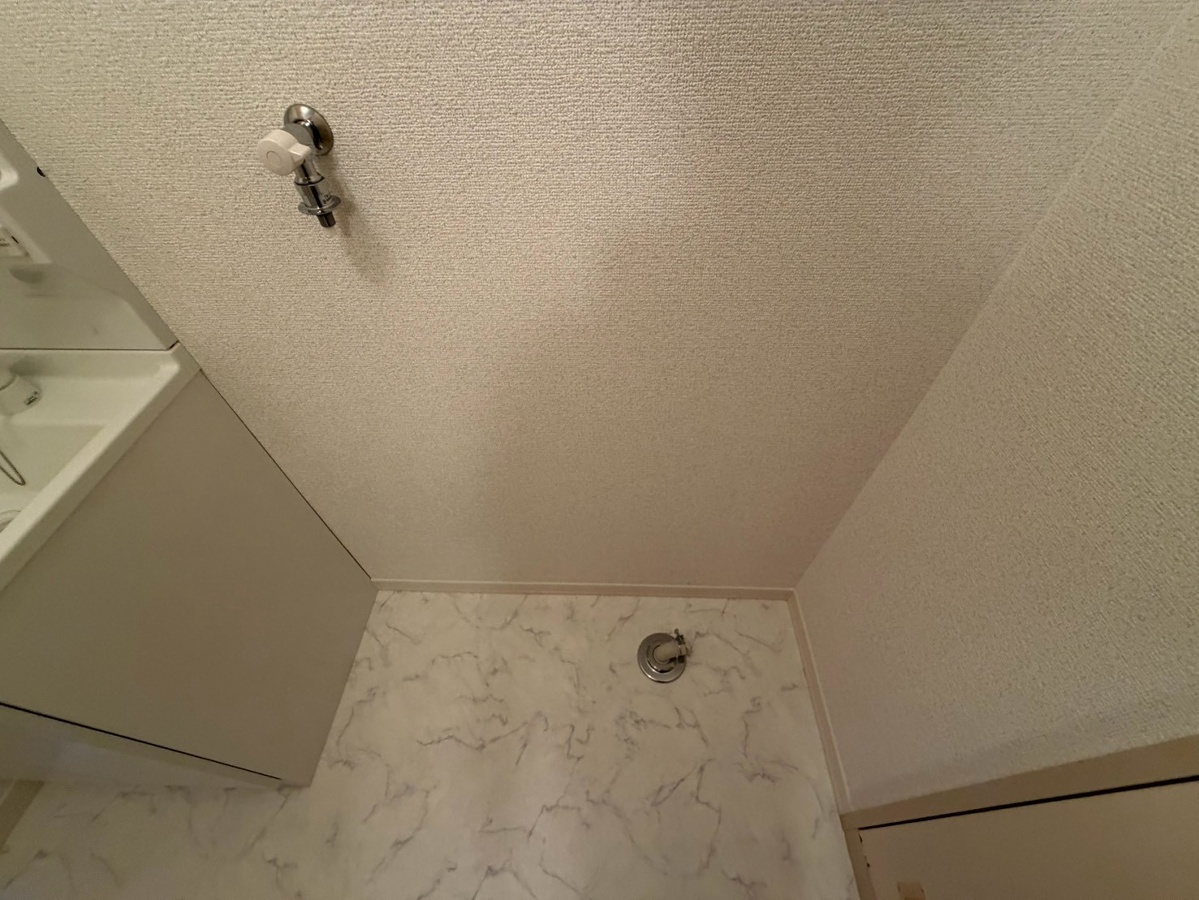 洗面所 写真12