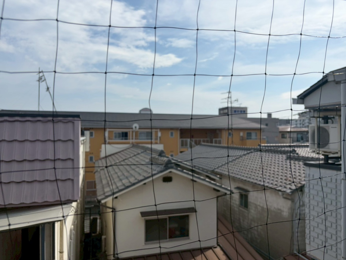 眺望 写真28