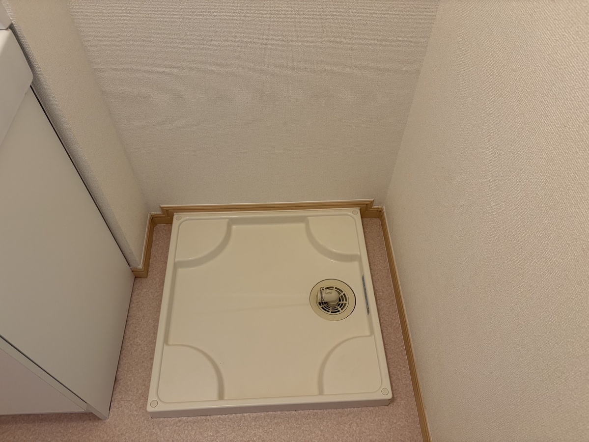 写真28