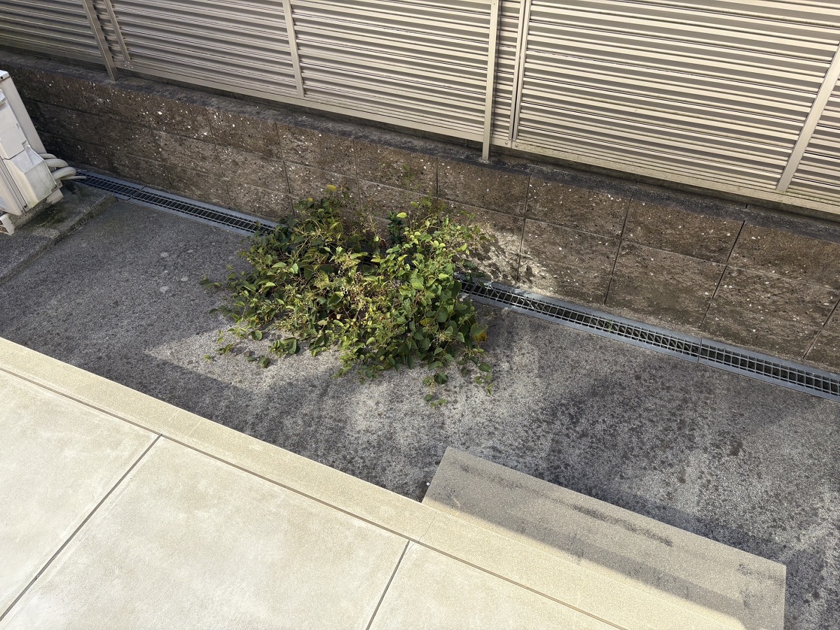 バルコニー・ベランダ 写真19