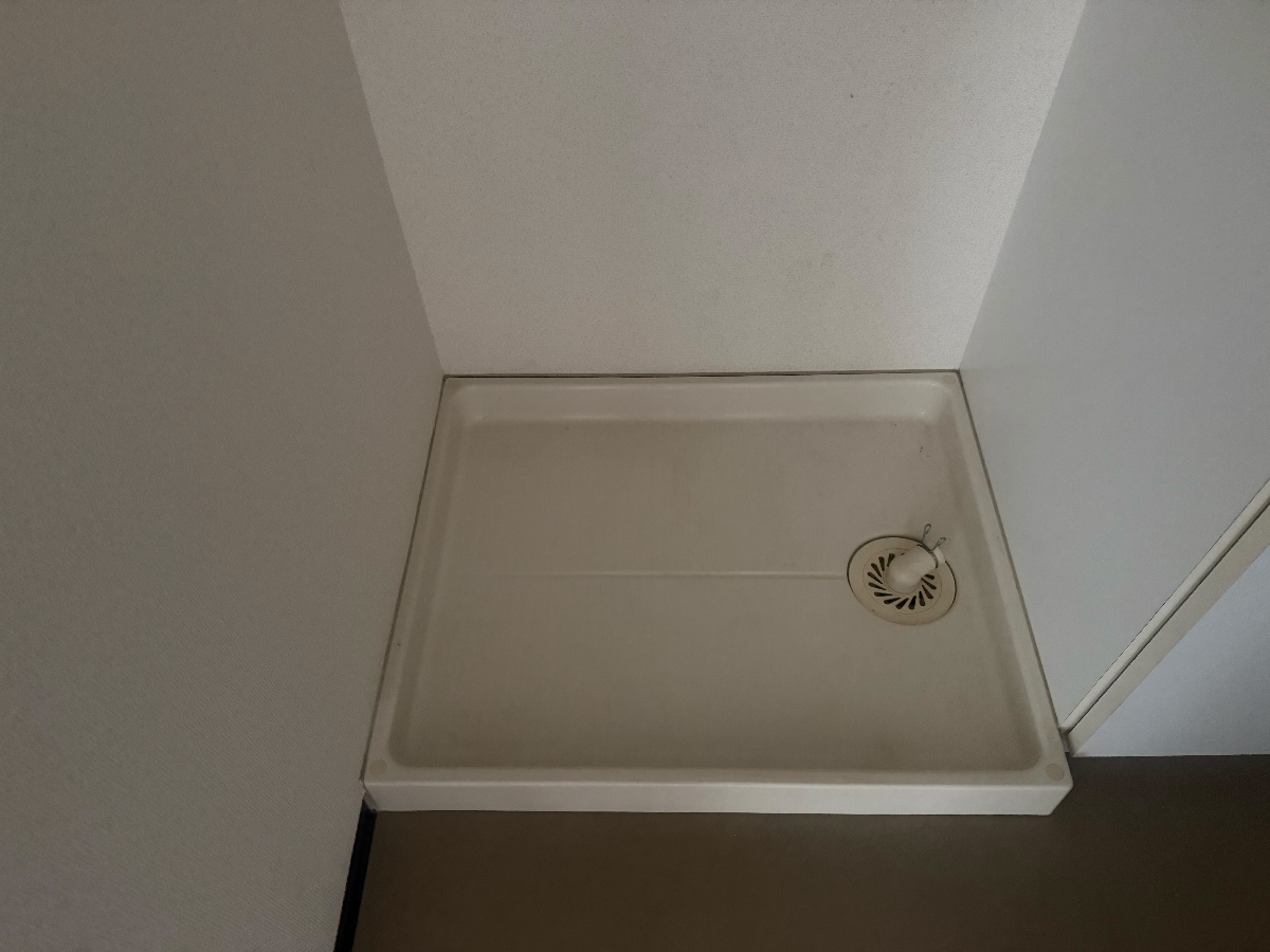 バス 写真11