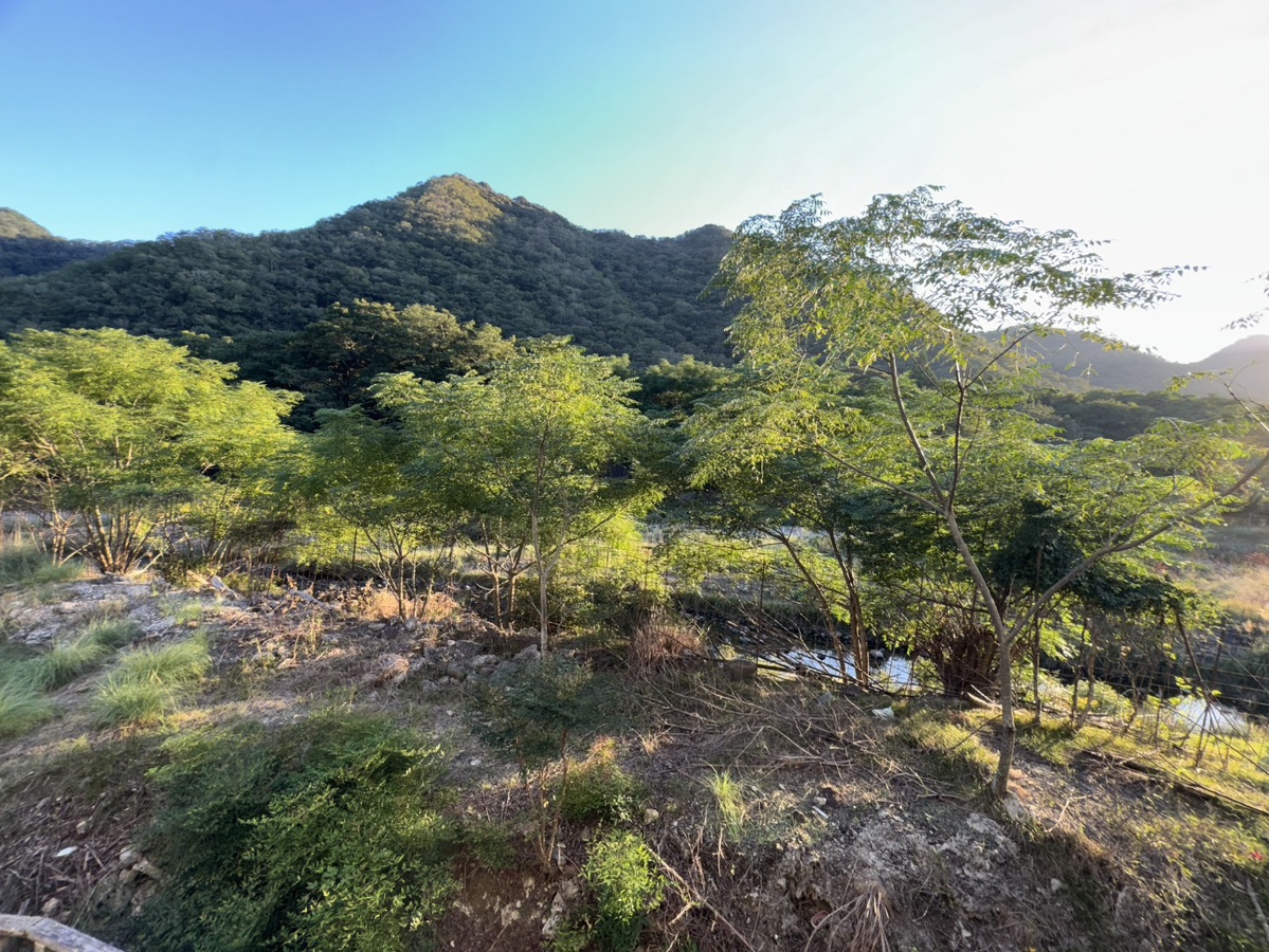 眺望 写真28