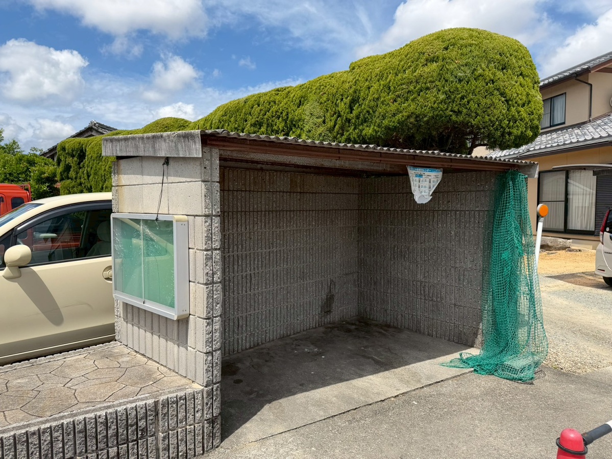 共用部 写真4