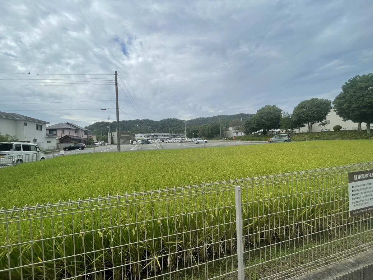 眺望 写真28