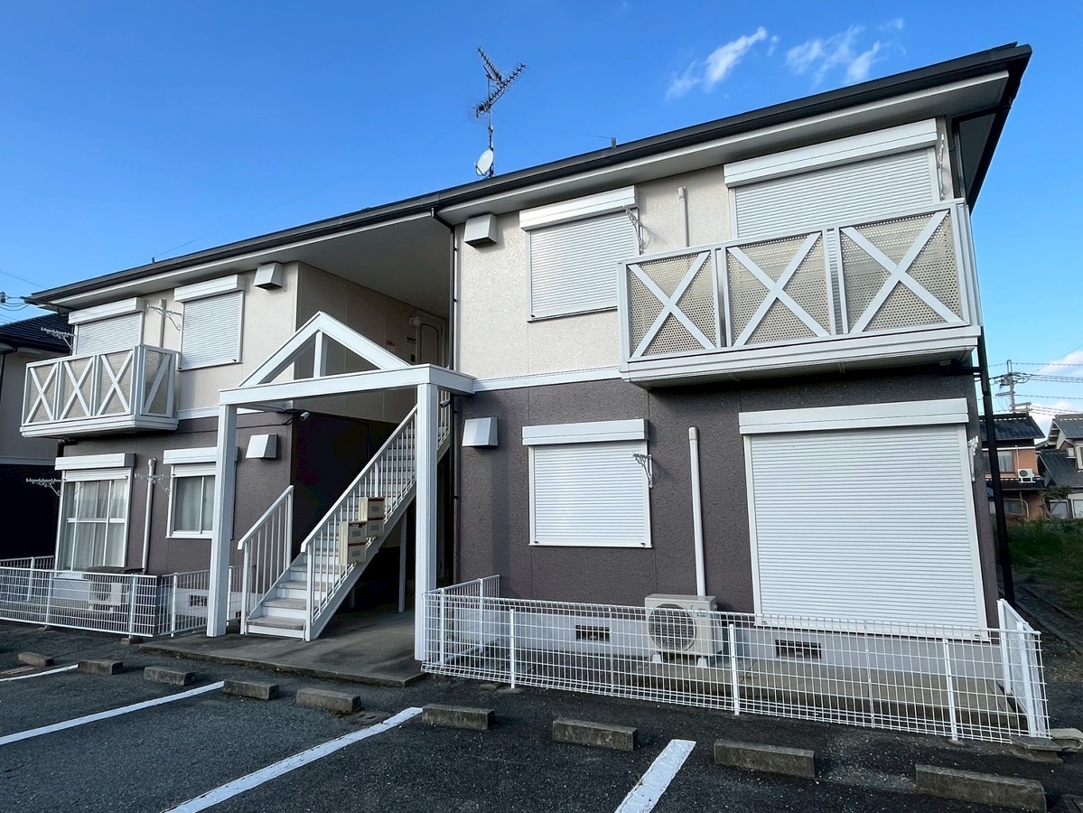 ハイツカンファーツリー