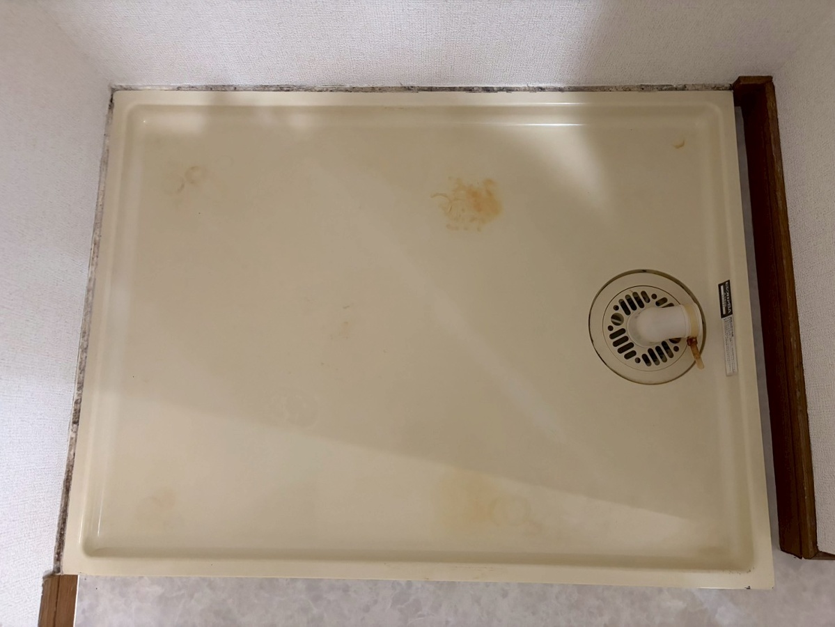 洗面所 写真11