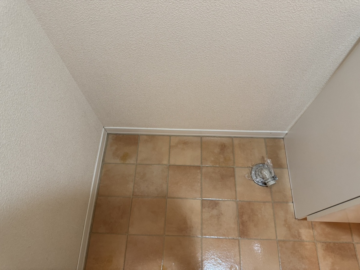 洗面所 写真13