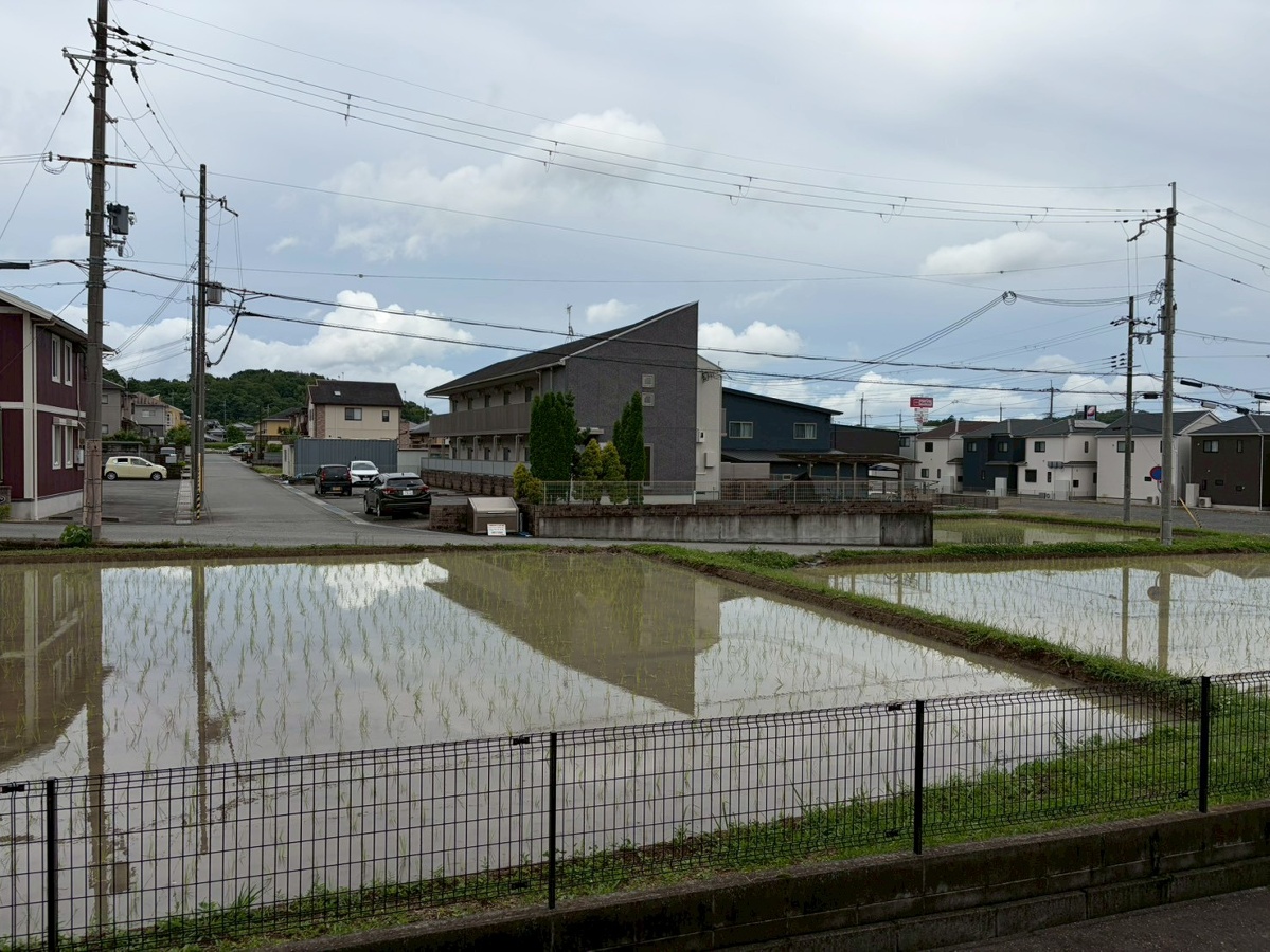 眺望 写真28