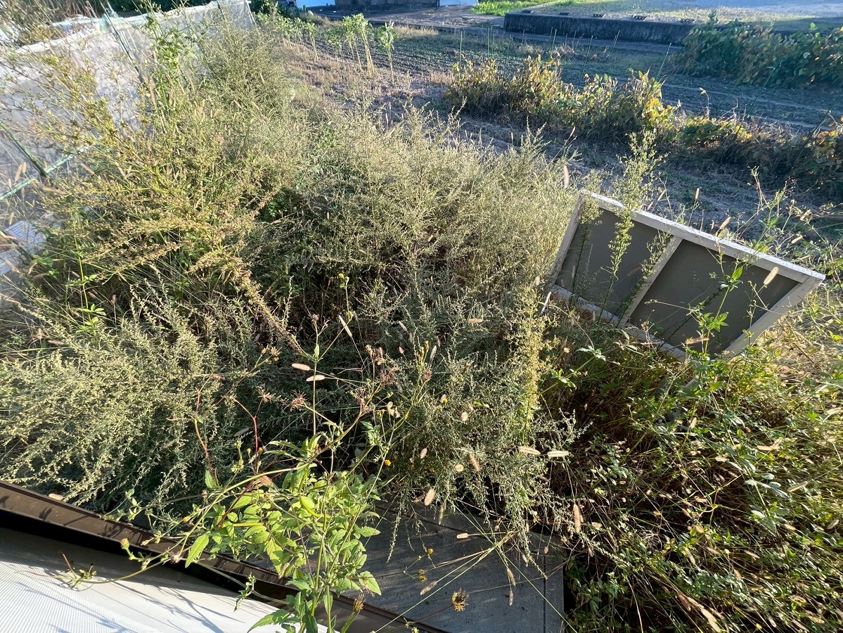 バルコニー・ベランダ 写真20