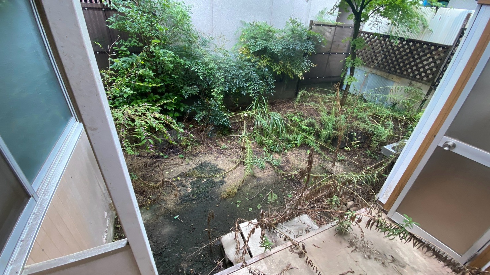 庭 写真17