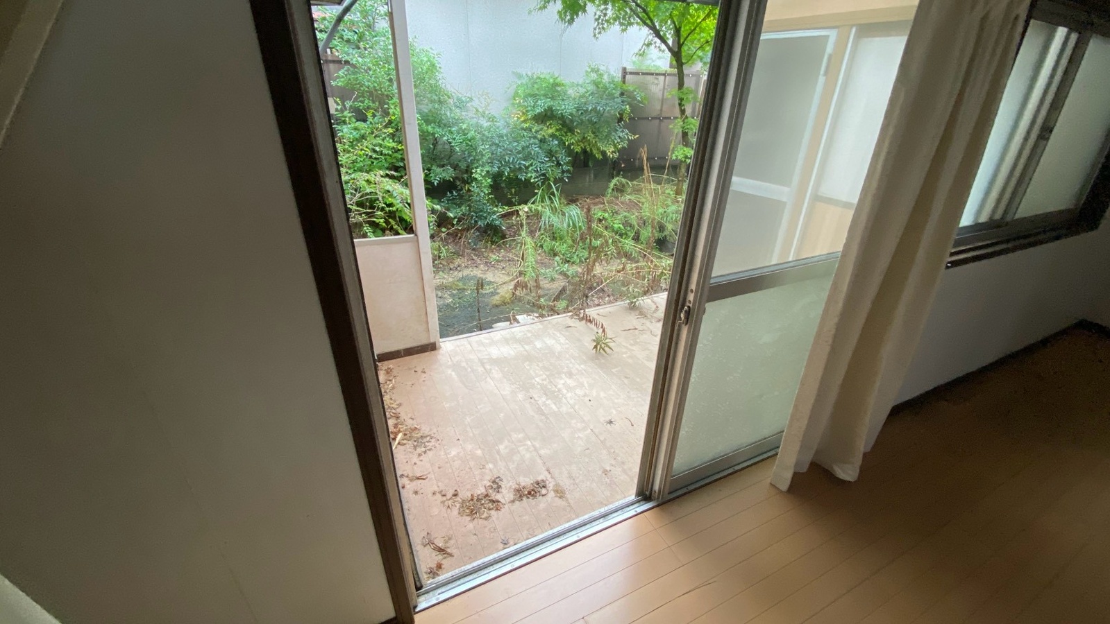 庭 写真18