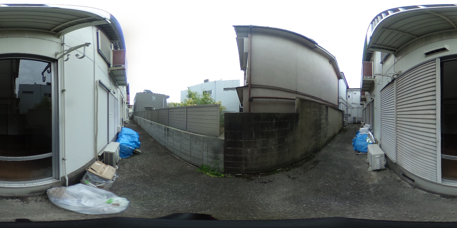 庭 写真37