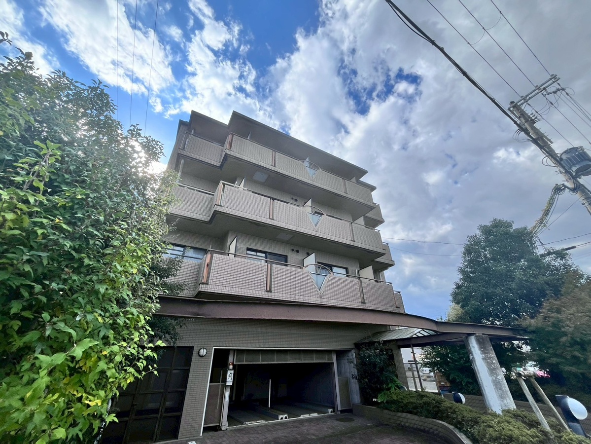 イスズベル八代