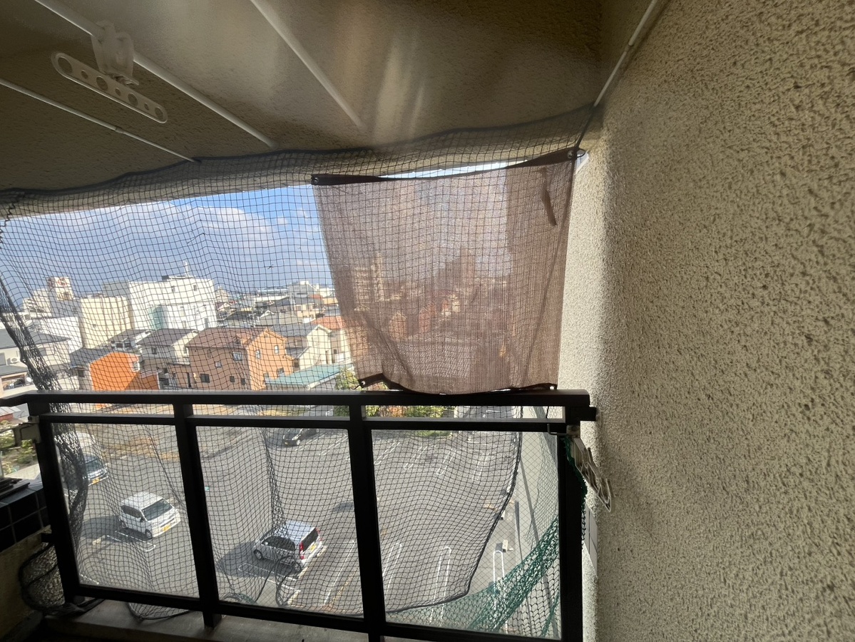 眺望 写真28