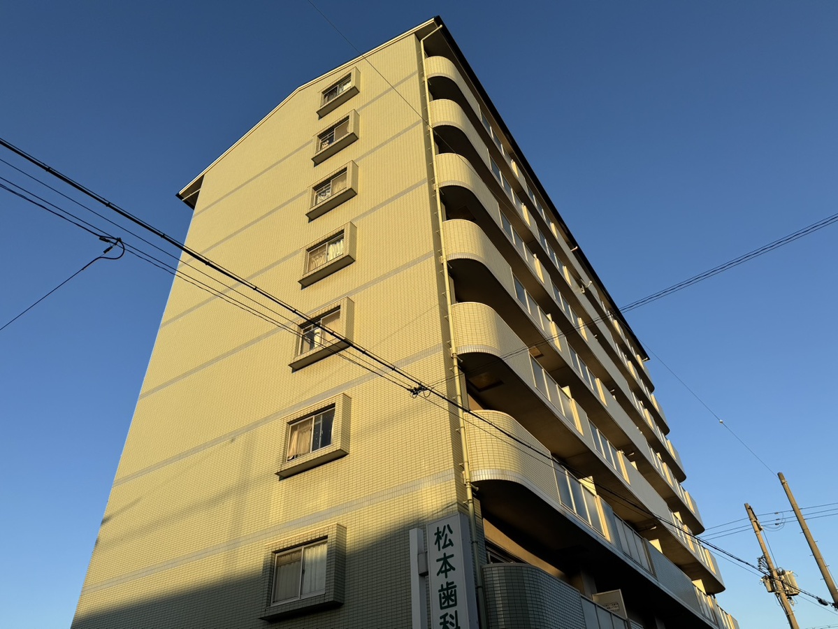 ルピナス南大路