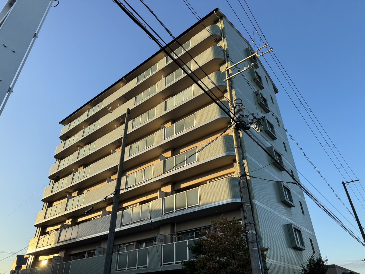 ルピナス南大路