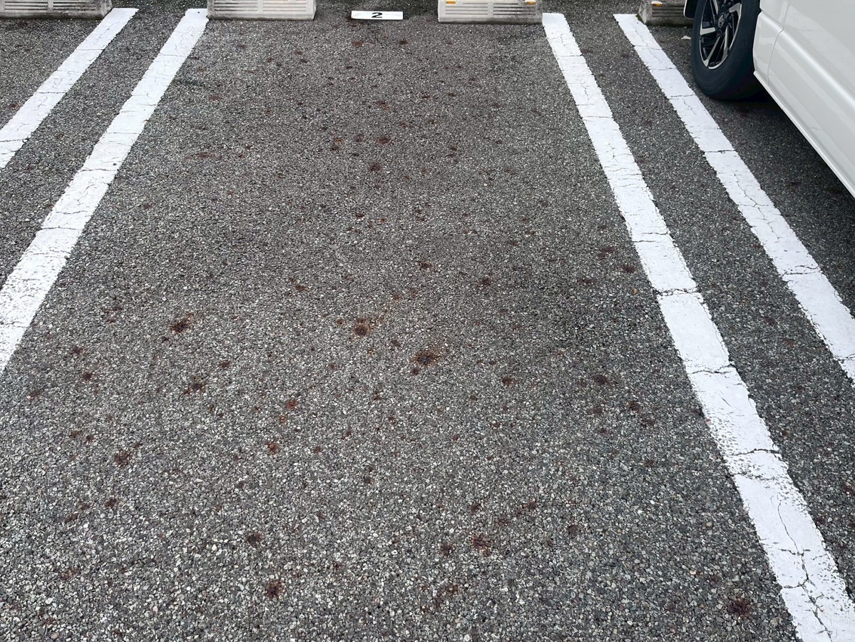 駐車場 写真31