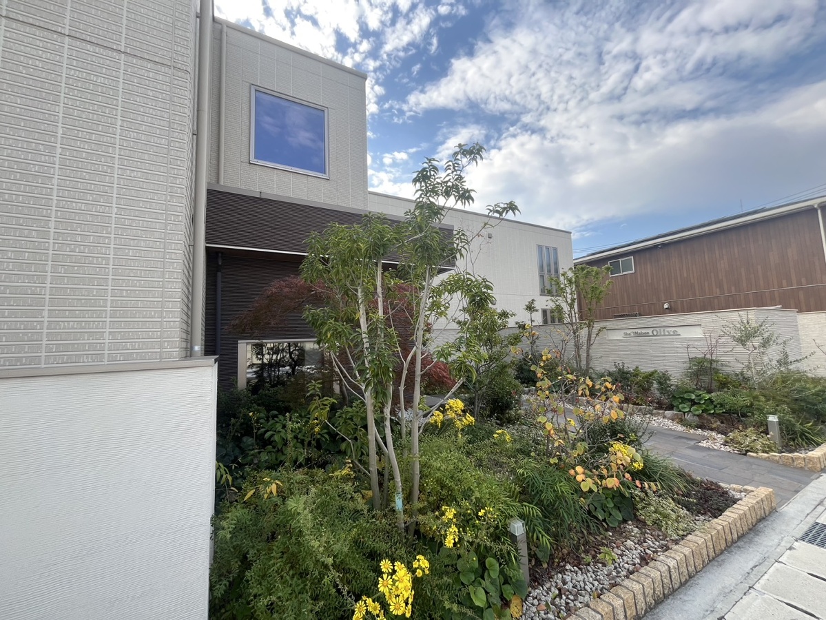 シャーメゾンオリーブ