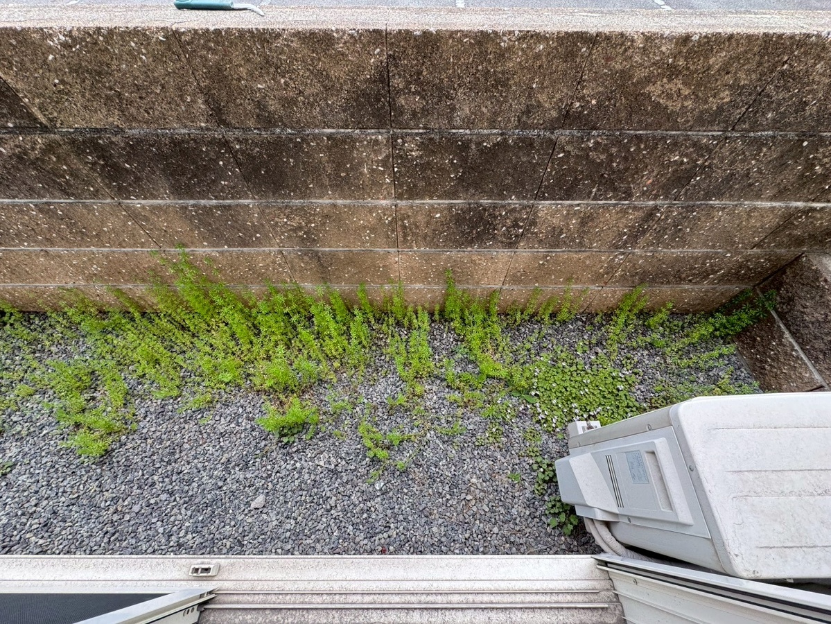 バルコニー・ベランダ 写真19