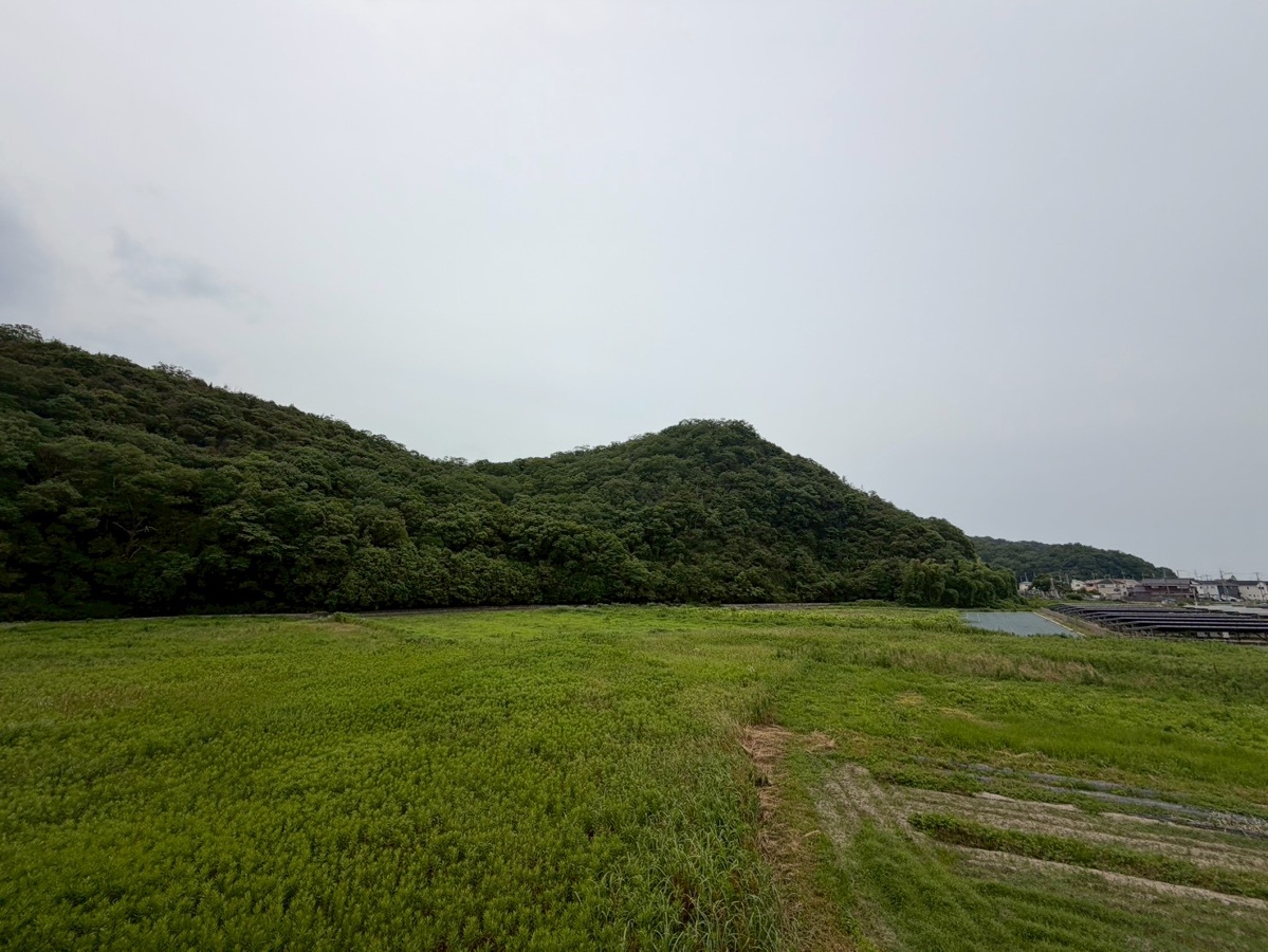 眺望 写真28