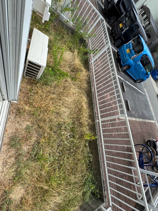 庭 写真17
