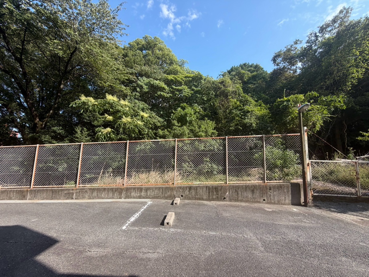 眺望 写真28