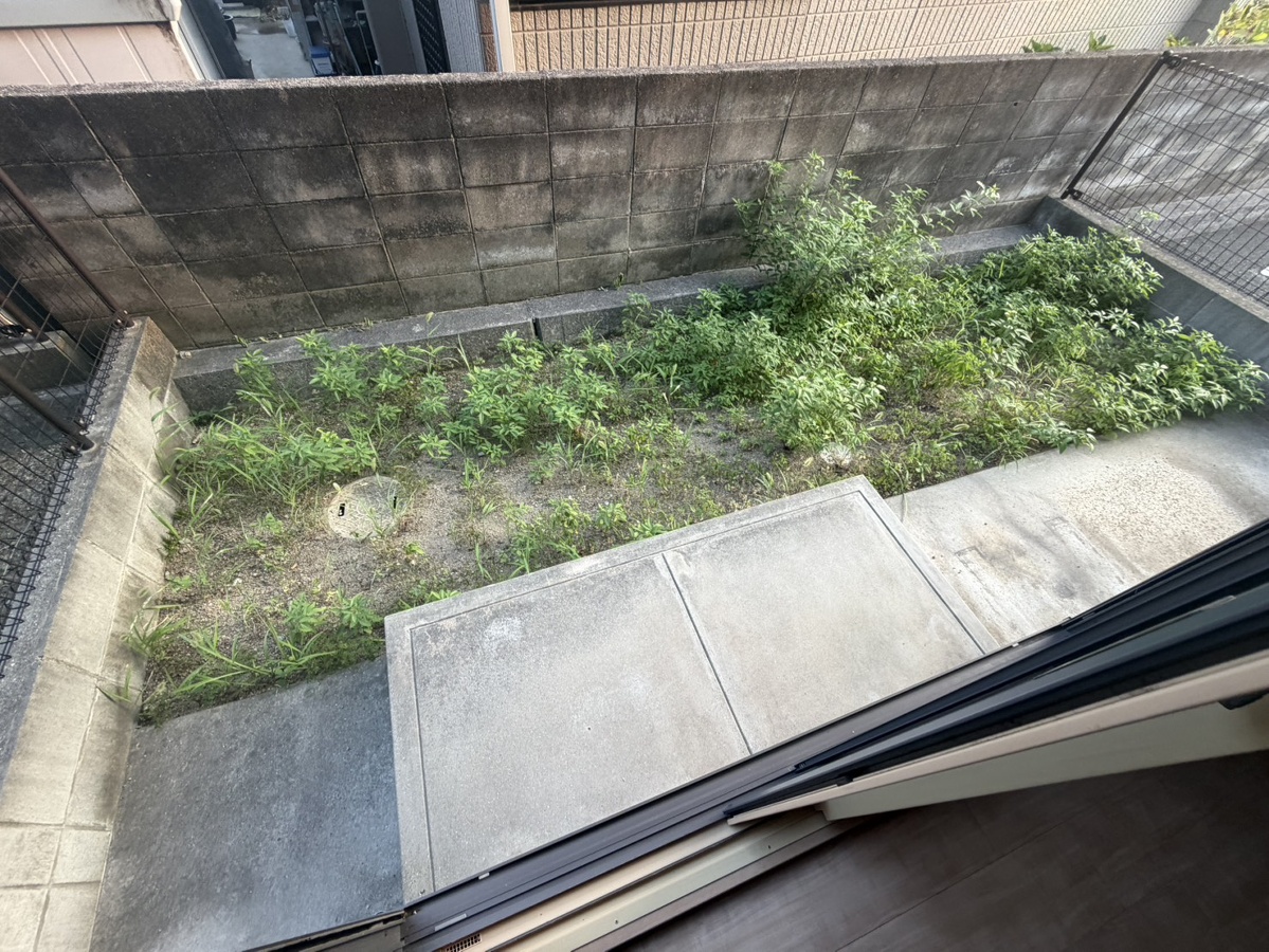 庭 写真17