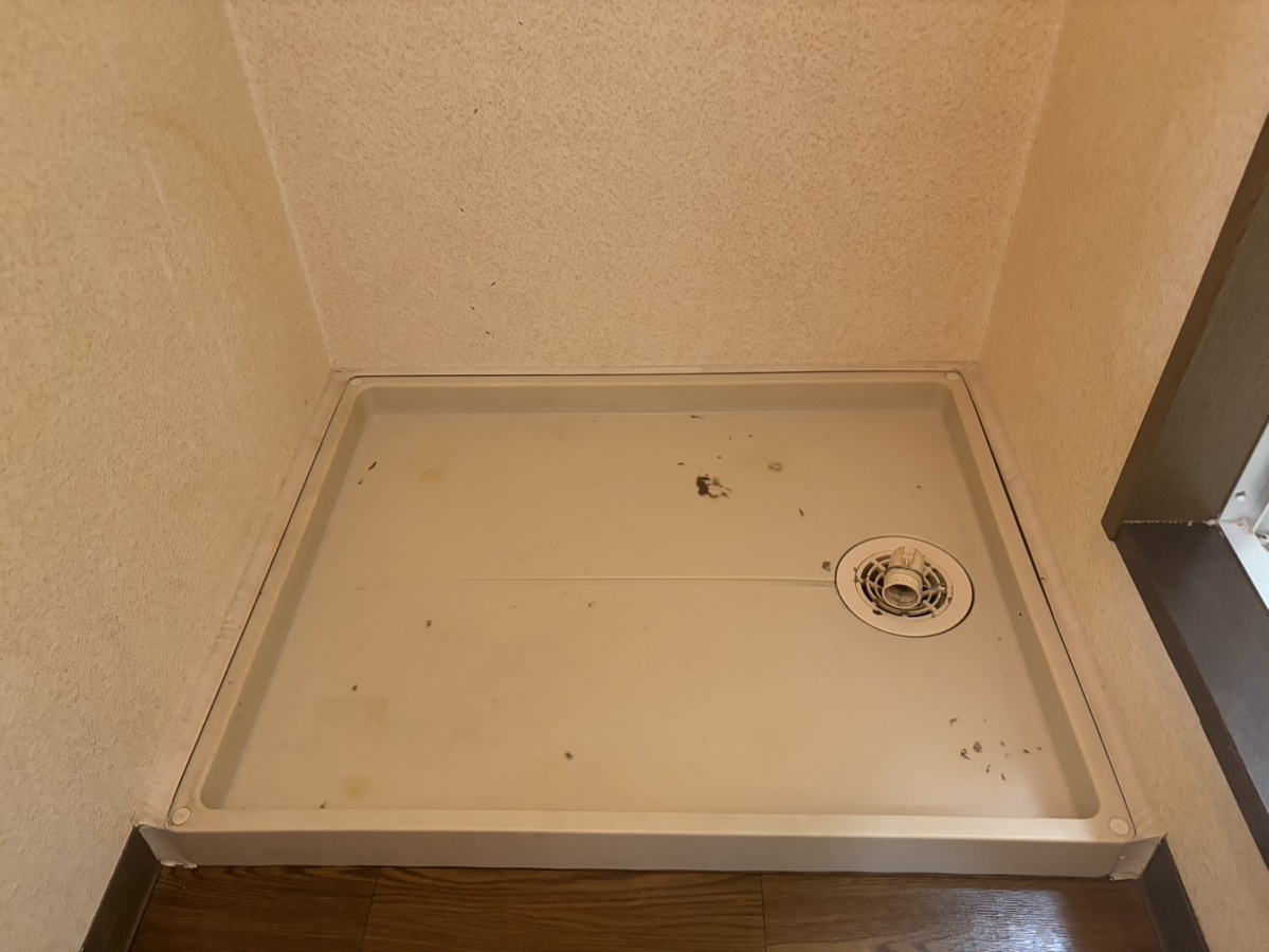 洗面所 写真12
