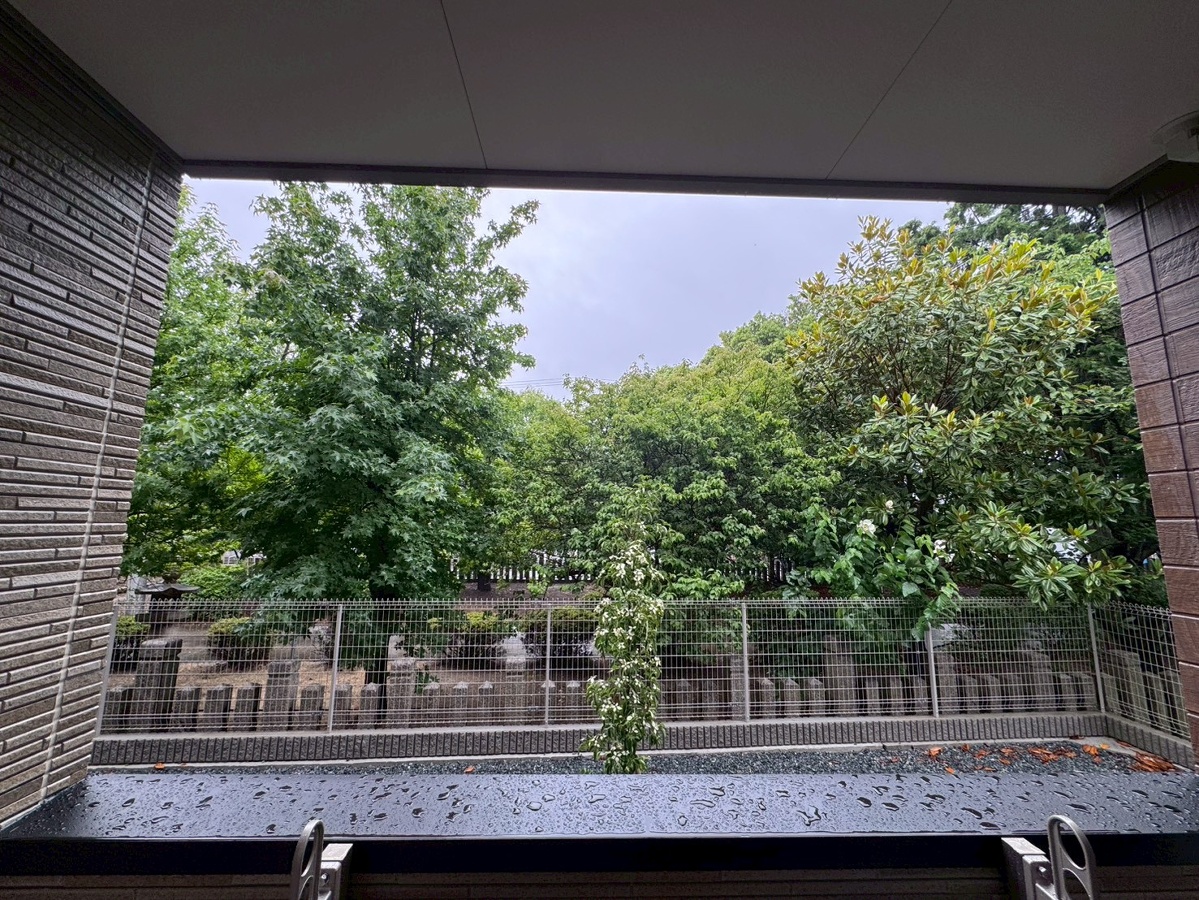 眺望 写真28