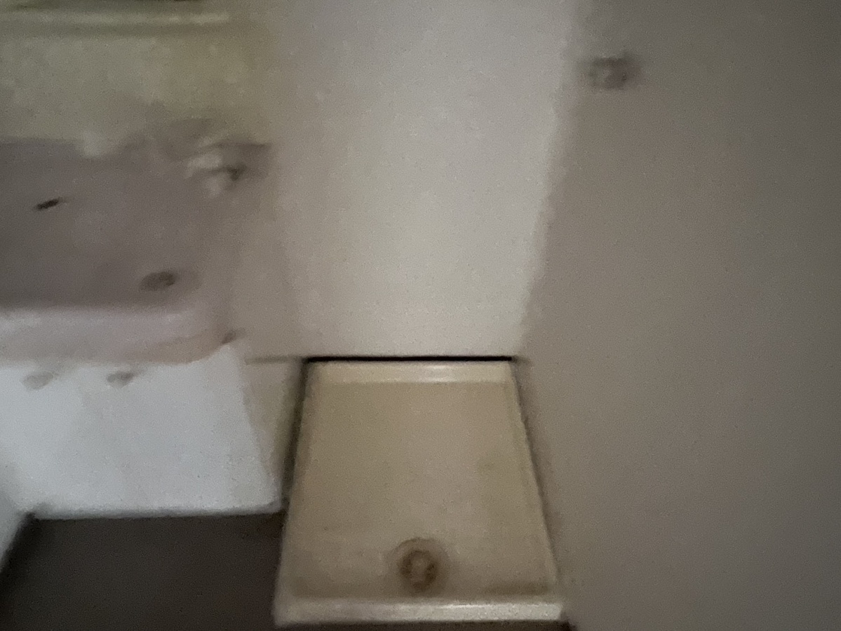 洗面所 写真11