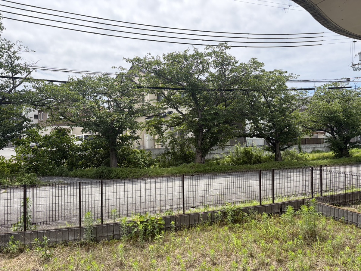 眺望 写真20