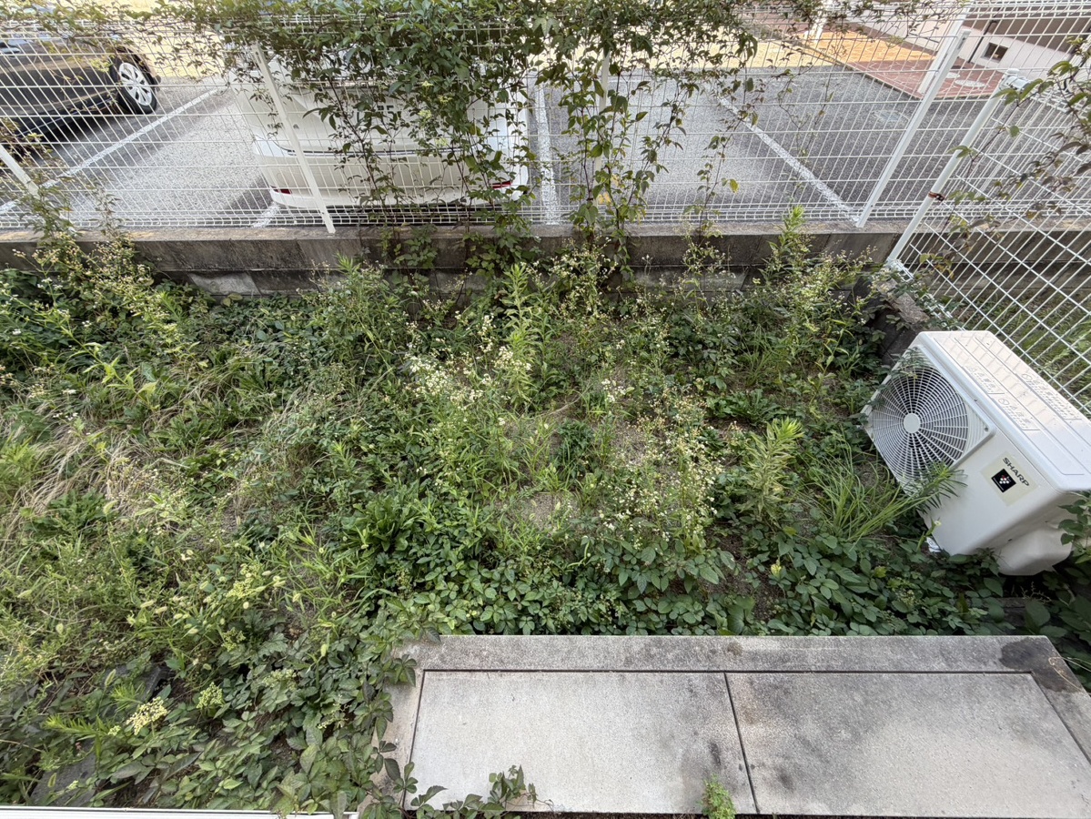 庭 写真17