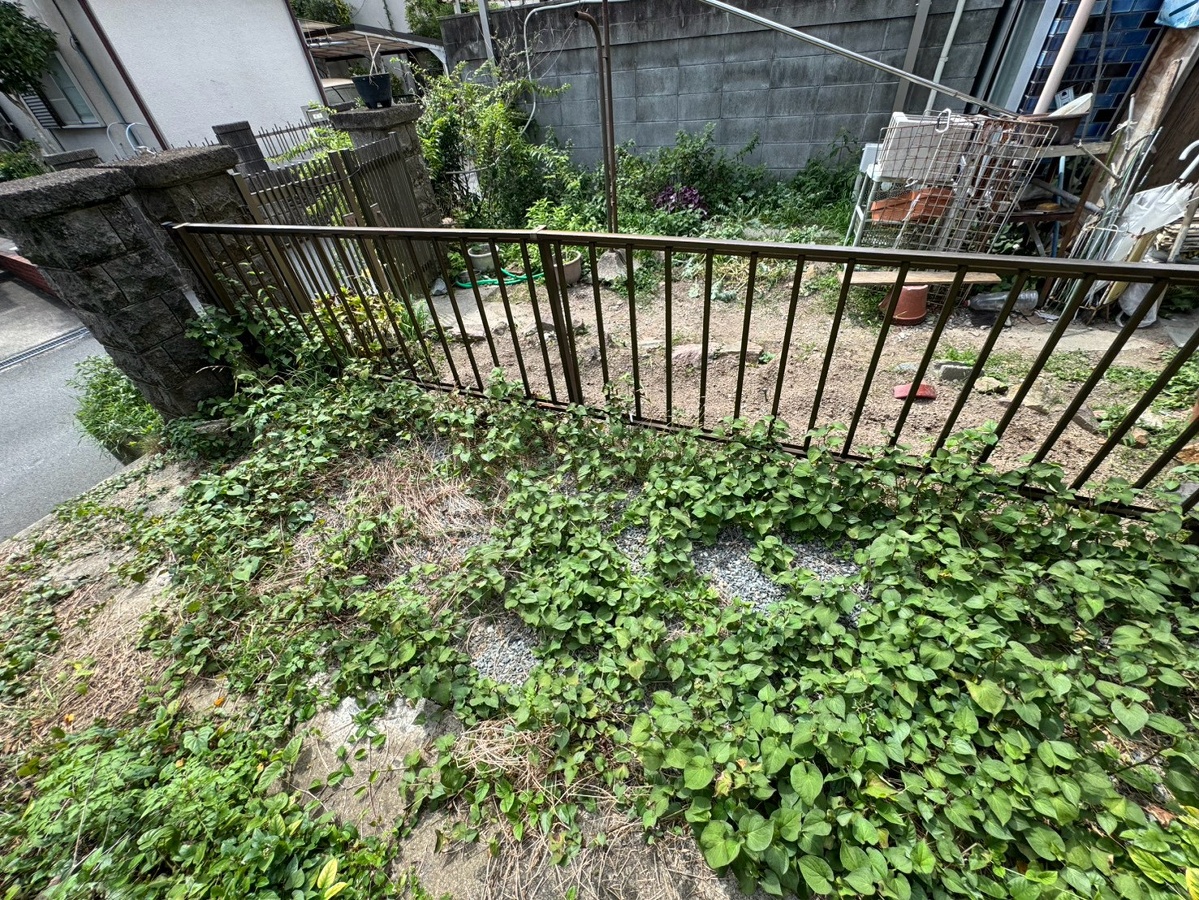 共用部 写真31