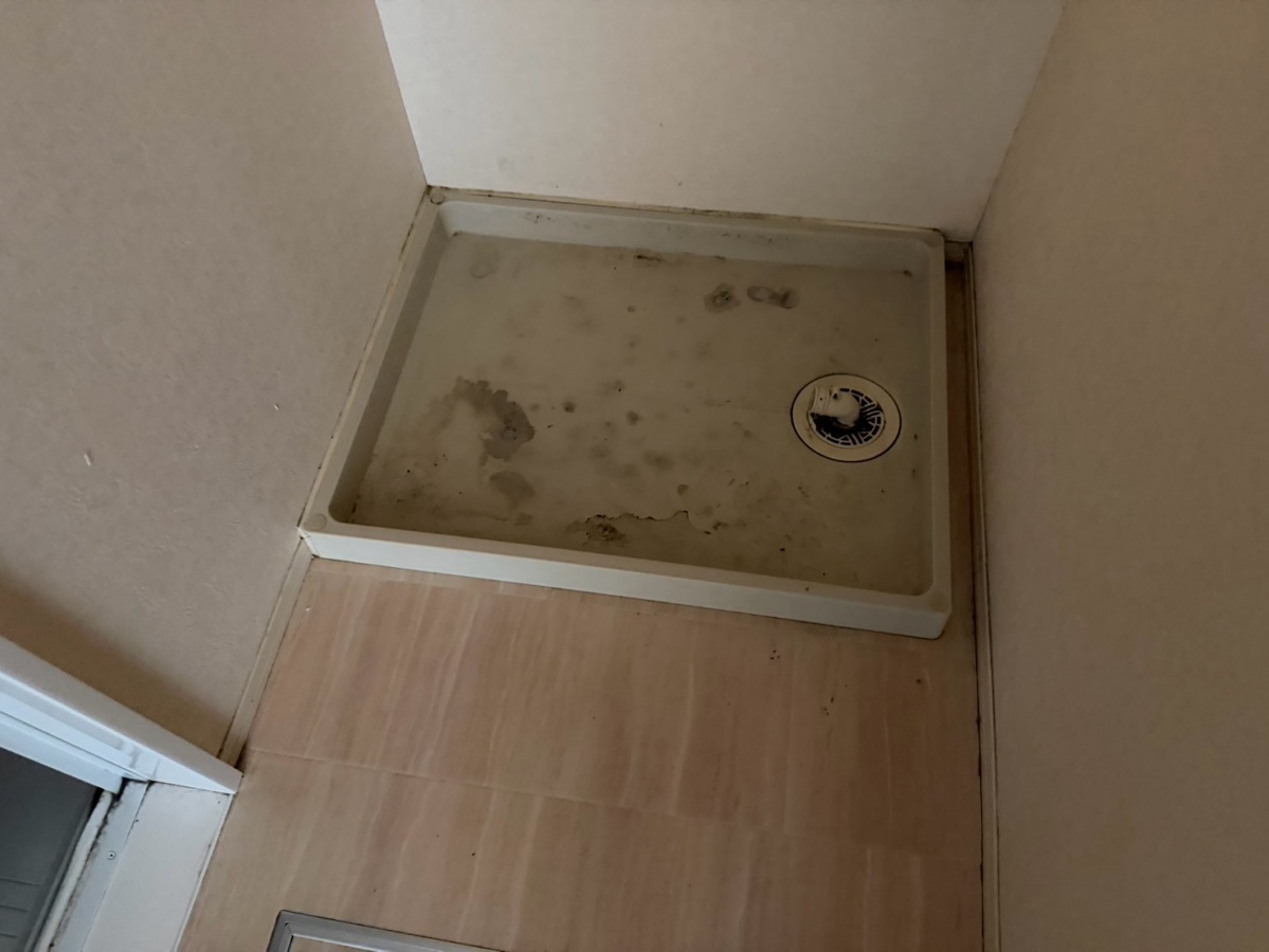洗面所 写真9