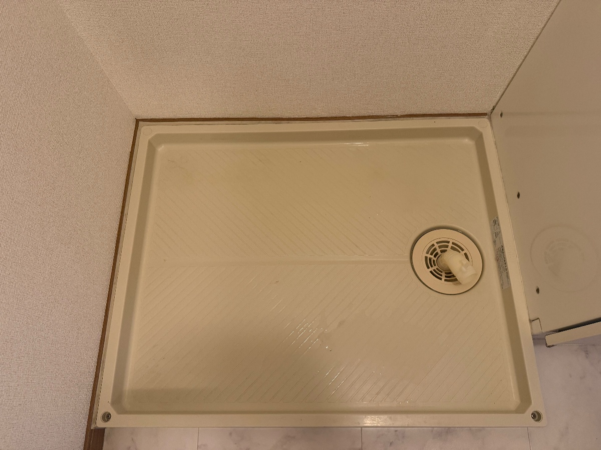 バス 写真11