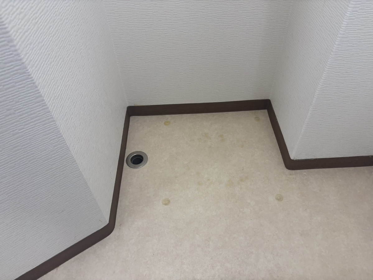洗面所 写真9