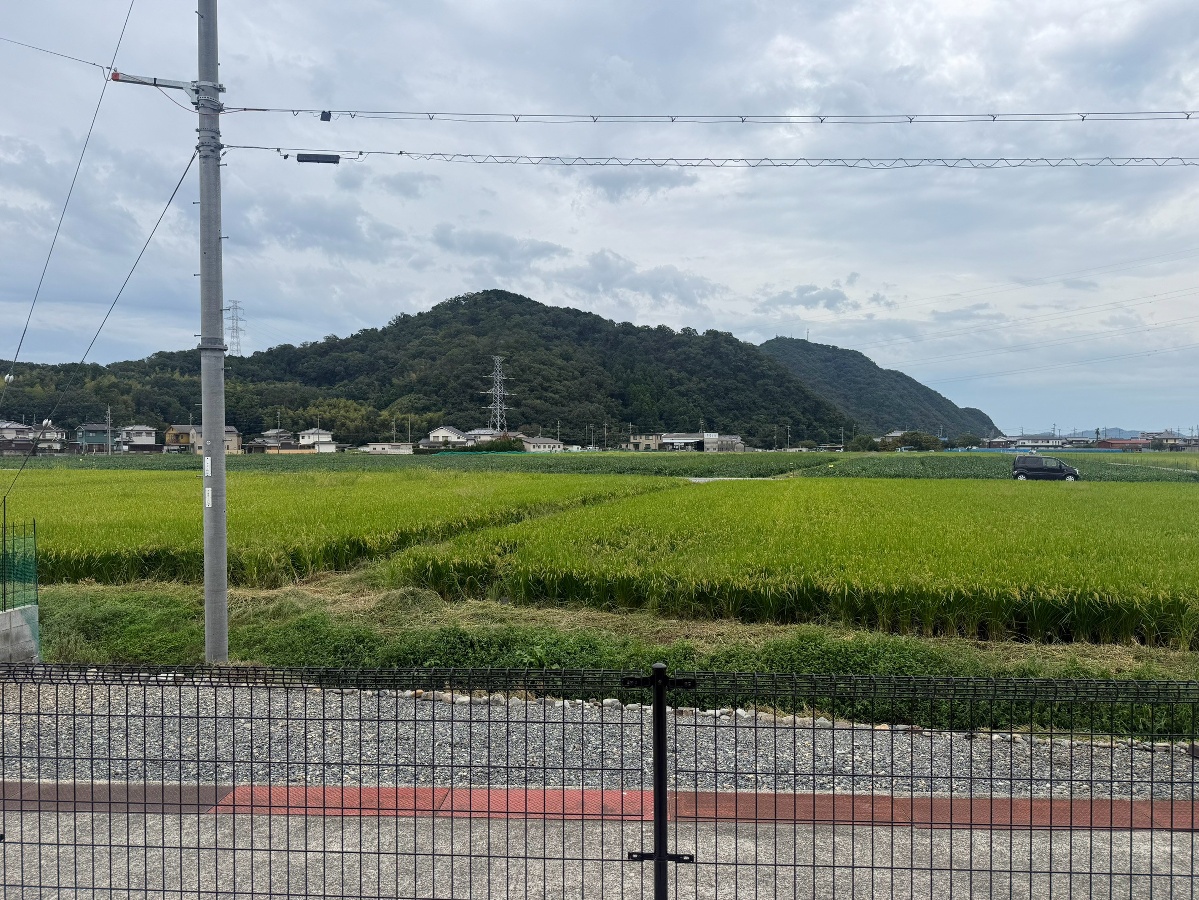 写真28