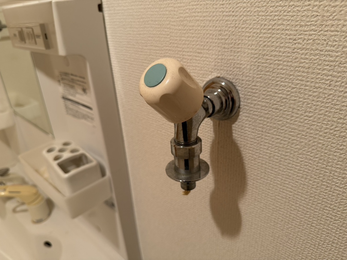 バス 写真14