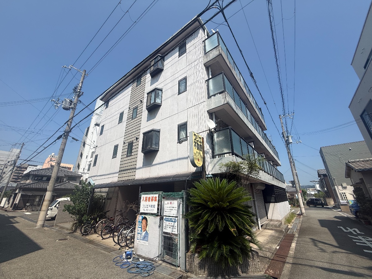 カサグランデモモ