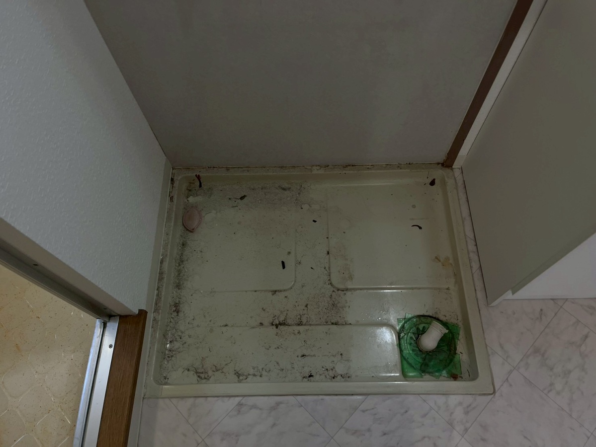 写真28