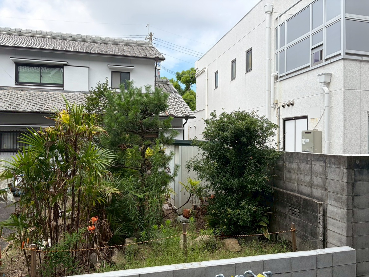 眺望 写真28