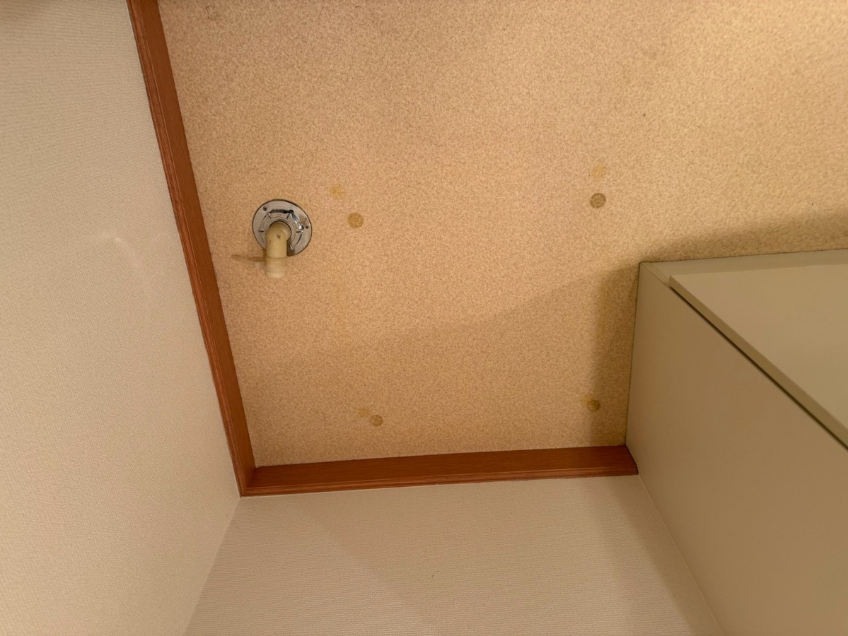 洗面所 写真12