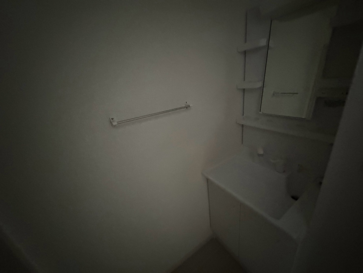 洗面所 写真10