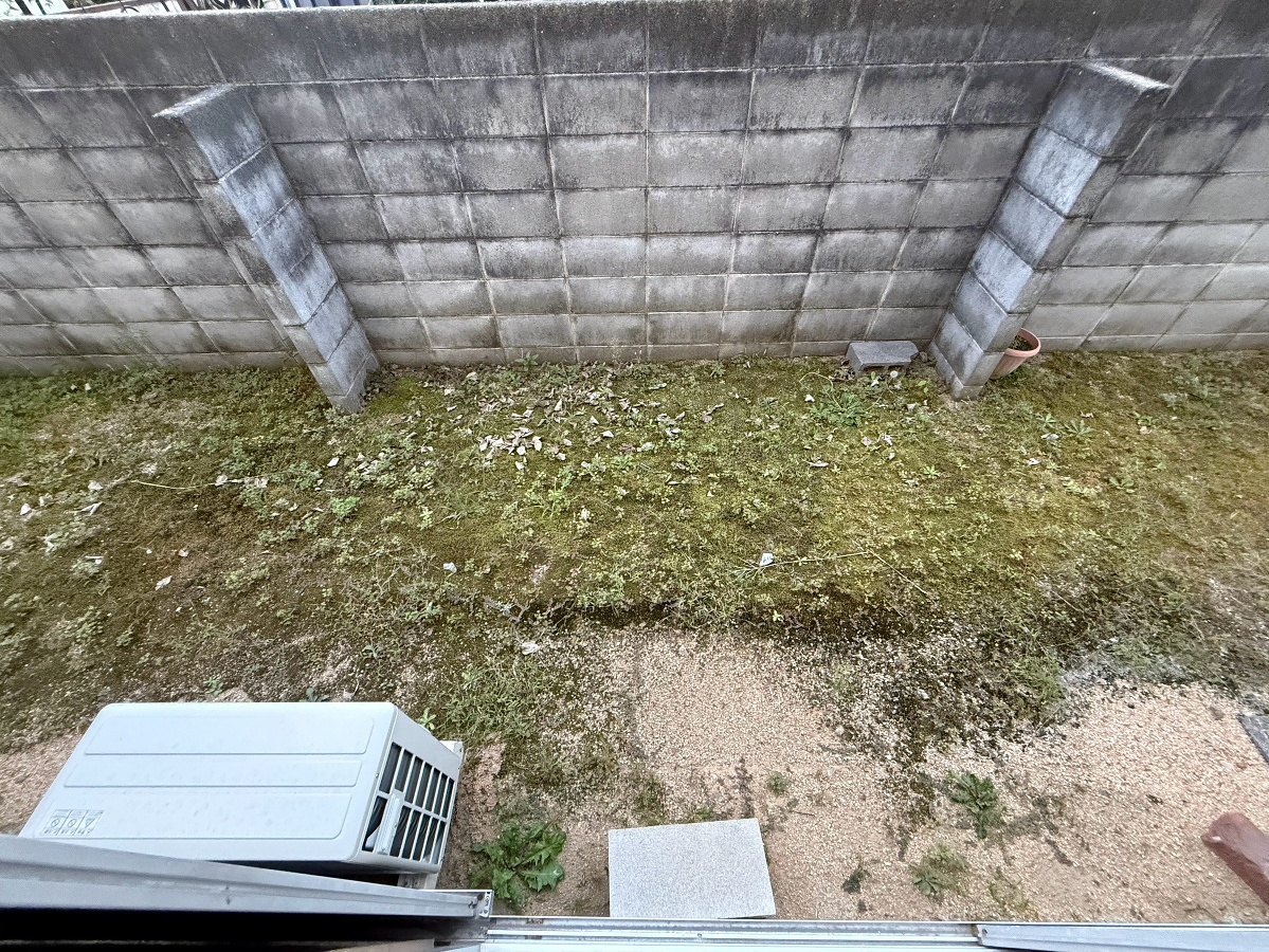 庭 写真18