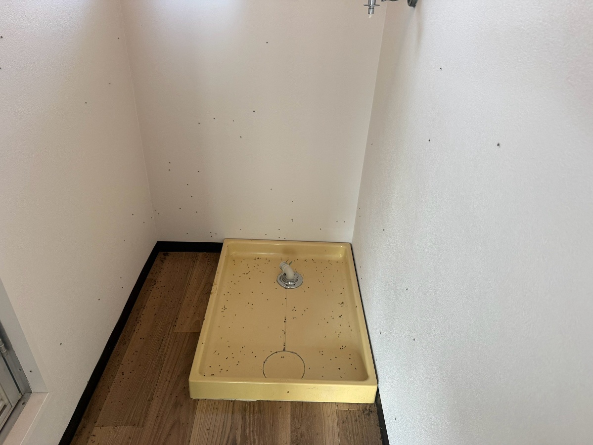洗面所 写真9