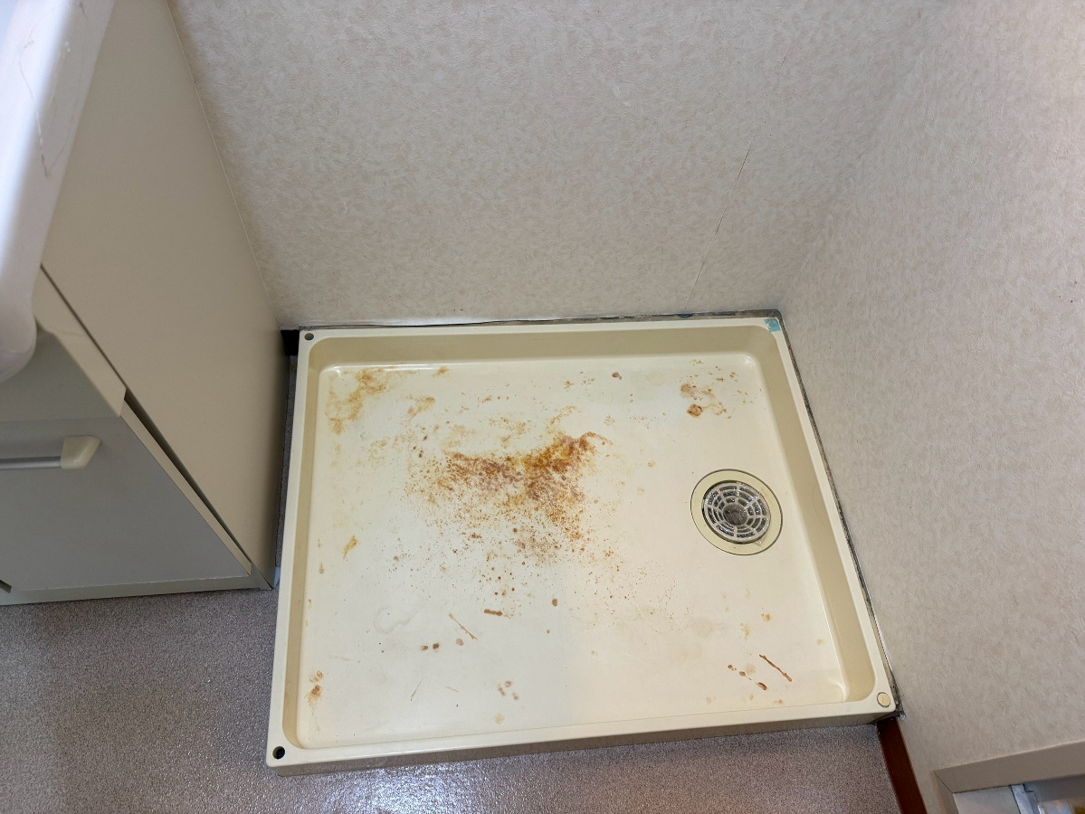 洗面所 写真10