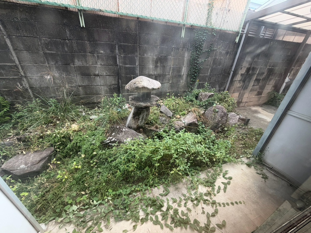 庭 写真18