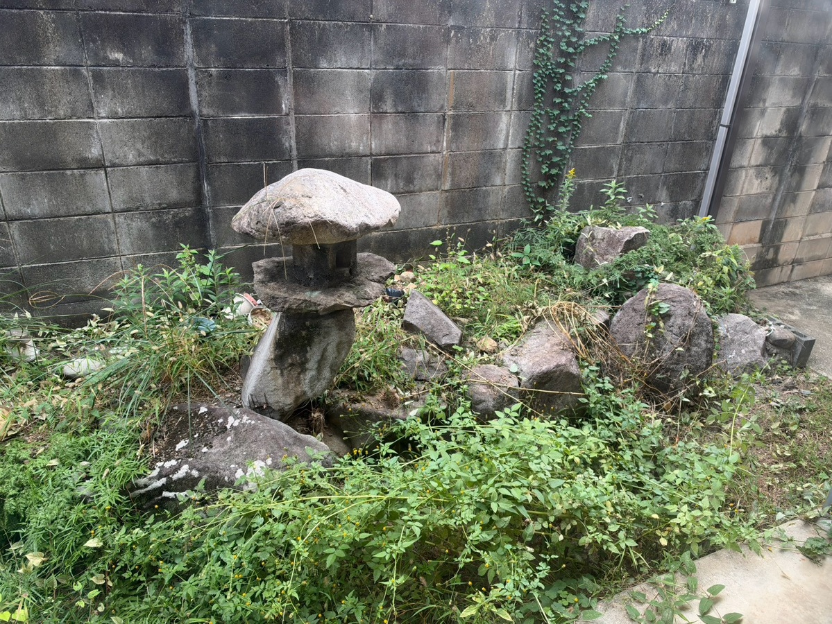庭 写真19